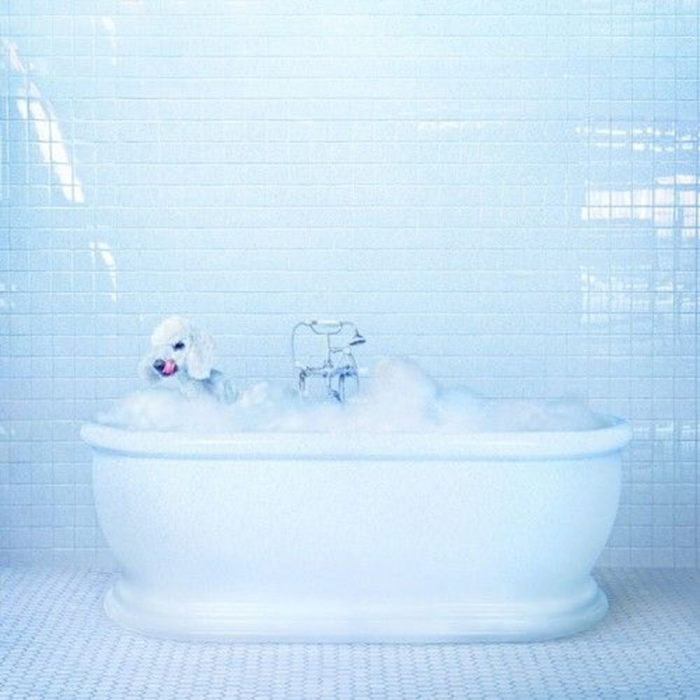 Frankie Cosmos - Vessel  LP LP